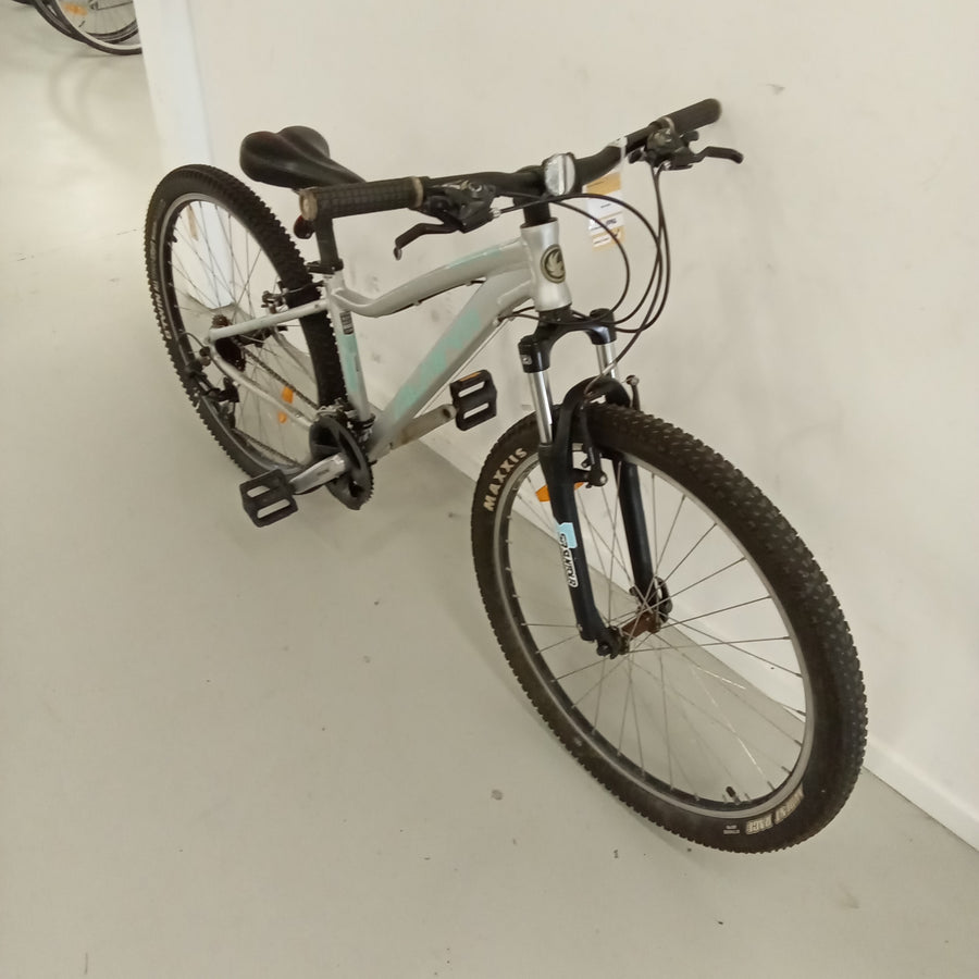 1096 - Silver, Mountain Bike, Bike