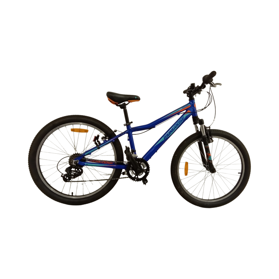 961 - 24" Blue, Kids, Bike