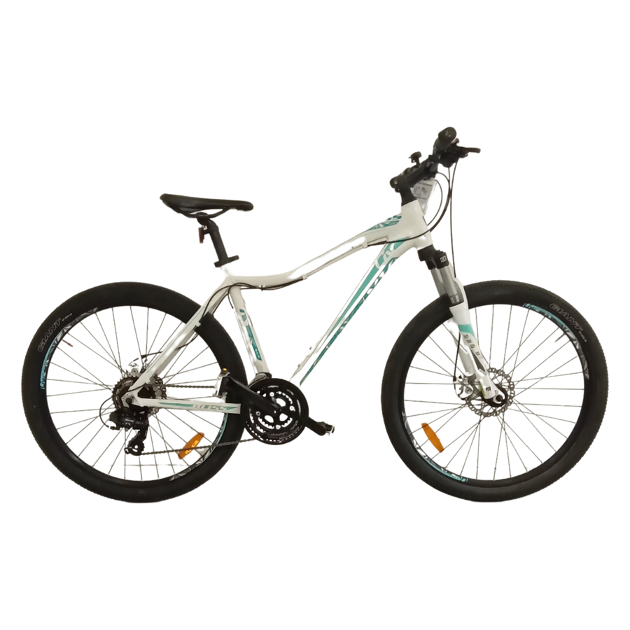 1060 - 48cm Blue,
White, Mountain Bike, Bike