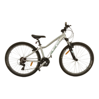 Thumbnail for 1096 - Silver, Mountain Bike, Bike