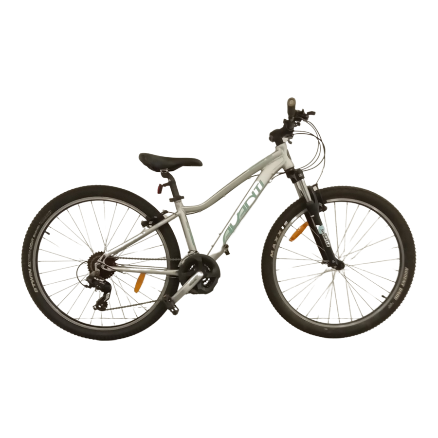 1096 - Silver, Mountain Bike, Bike