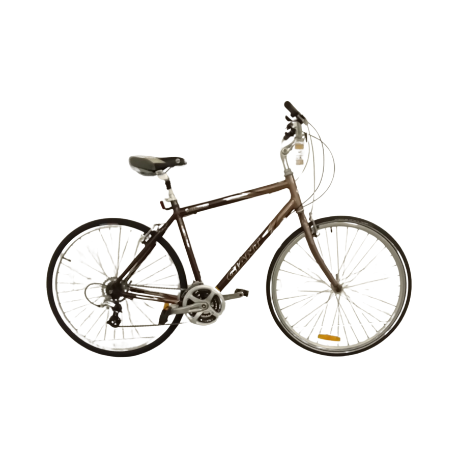 1111 - 54cm Brown, Flat Bar Commuter, Bike