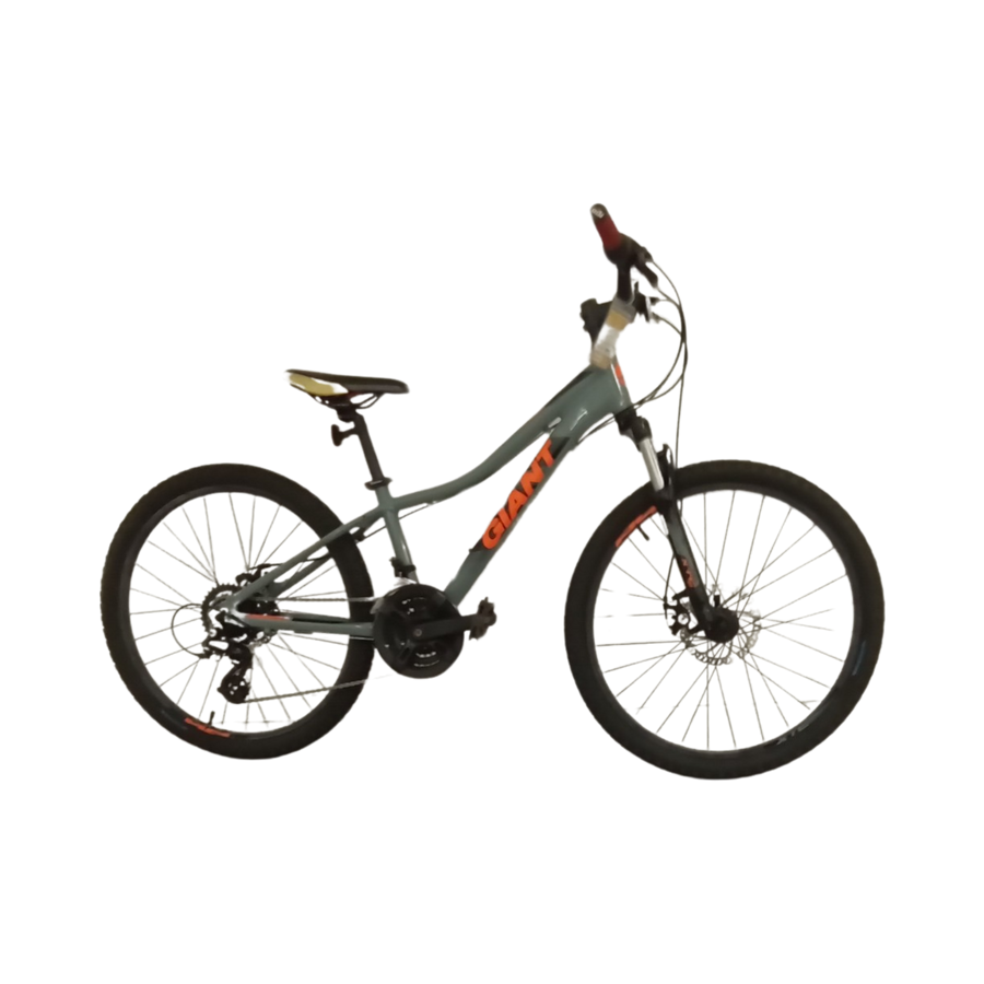 1113 - 24" Grey Mountain Bike,
Kids, Bike