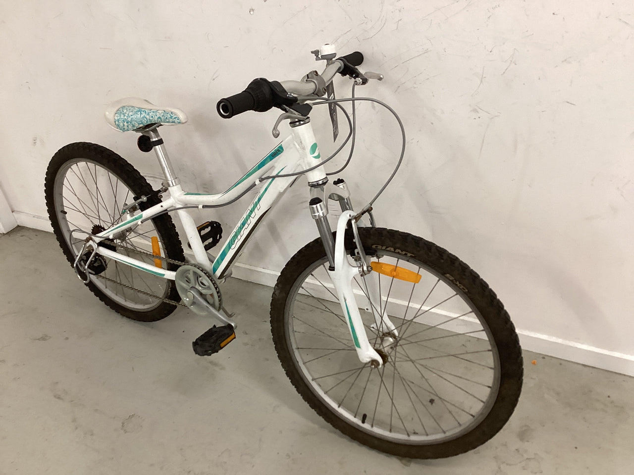 Bike, 24”, Giant Areva, white, green