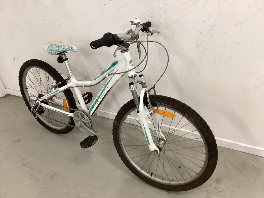 Bike, 24”, Giant Areva, white, green