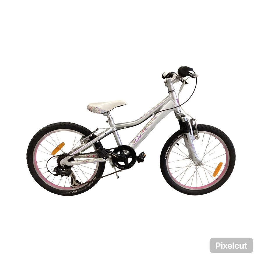 Liv Areva Bike - 20"  - Kids, Colour: Silver