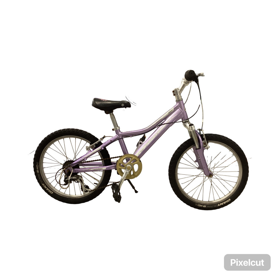 Giant Areva 20 Bike - 20"  - Mountain Bike,
Kids, Colour: Purple