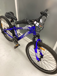 Thumbnail for Giant MTX 250 Bike - 24