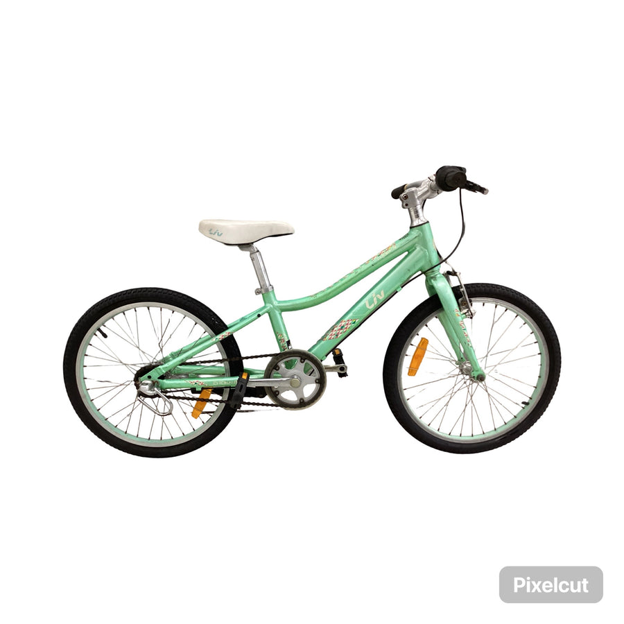Liv Enchant Bike - 20"  - Kids, Colour: Green