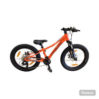Thumbnail for Specialized Rip Rock 20 Bike - 20