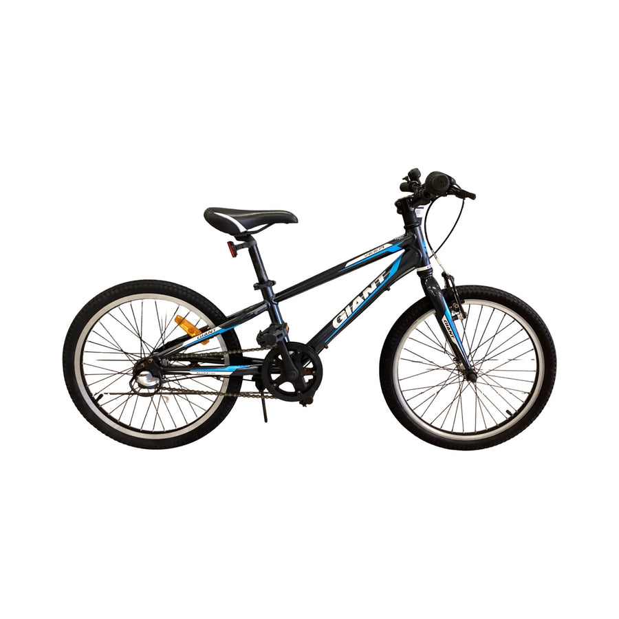 Giant Veer Bike - 20"  - Kids, Colour: Black, Silver