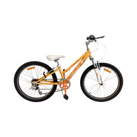 Thumbnail for Malvern star Roxy Bike - 24