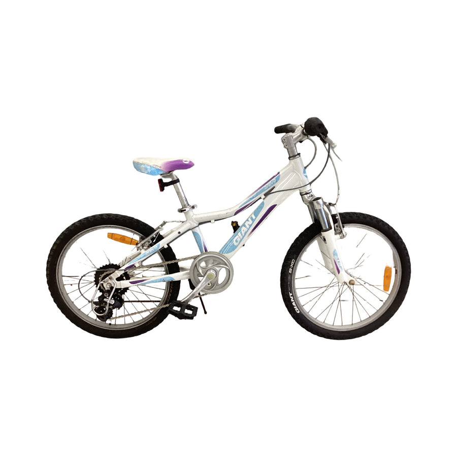Giant Areva 20 Bike - 20"  - Mountain Bike,
Kids, Colour: Blue, Green, Purple
