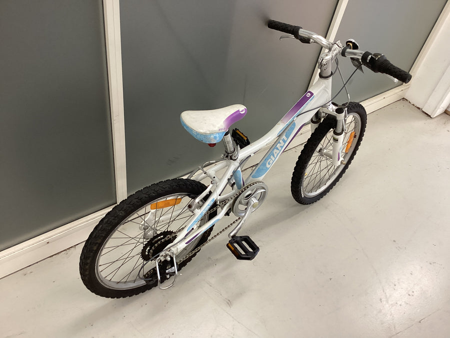 Giant Areva 20 Bike - 20"  - Mountain Bike,
Kids, Colour: Blue, Green, Purple