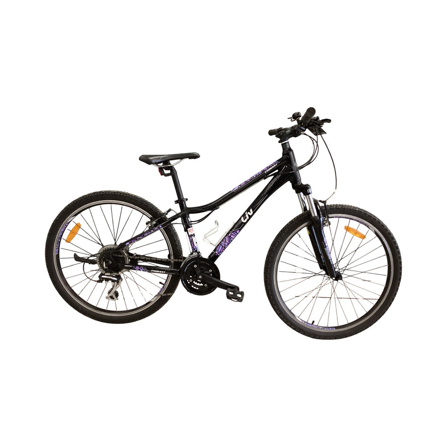 Liv Enchant Bike - 26" 46cm - Mountain Bike, Colour: Black, Purple