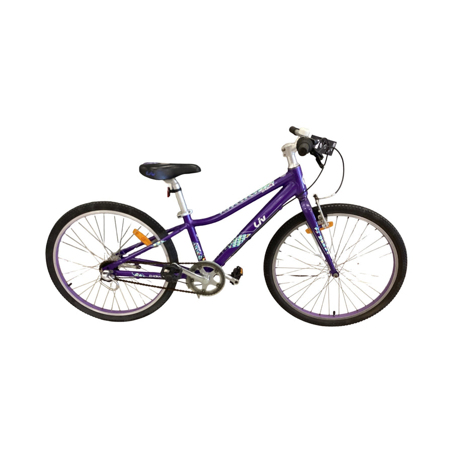 Giant Enchant Bike - 24"  - Kids, Colour: Purple