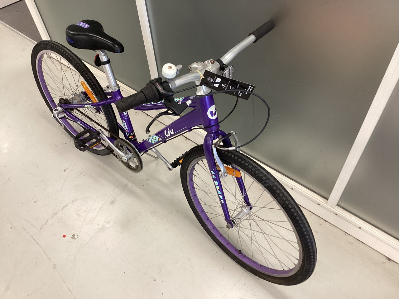 Giant Enchant Bike - 24"  - Kids, Colour: Purple