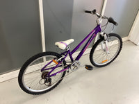 Thumbnail for Indi 24 Bike - 24