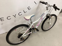 Thumbnail for Flight Reflector Bike - 20