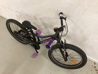 Thumbnail for Trek Precaliber Bike - 20