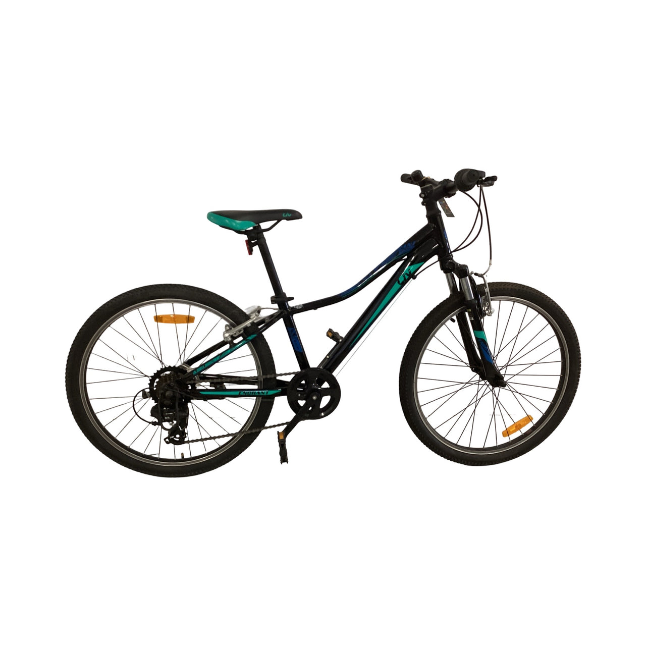 Liv Enchant Bike - 24"  - Kids, Colour: Black, Blue, Green