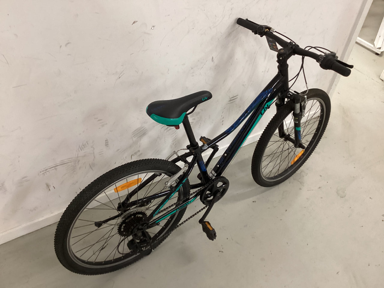 Liv Enchant Bike - 24"  - Kids, Colour: Black, Blue, Green