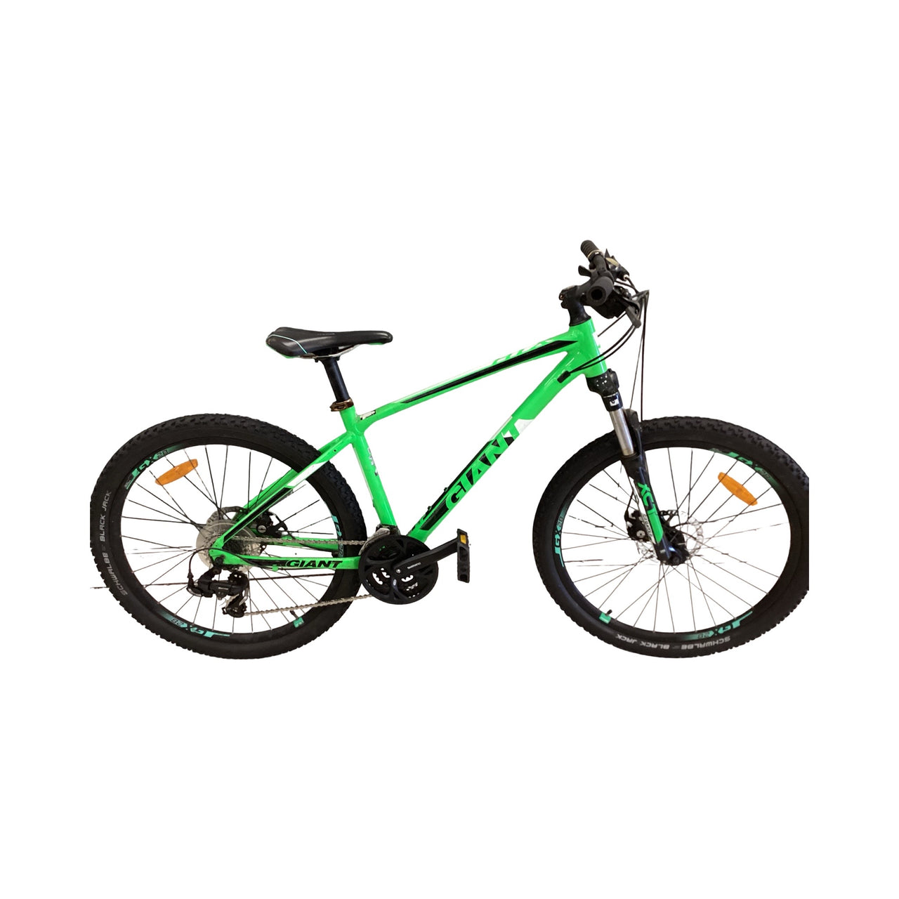 Gt Scamp Bike - 24"  - Mountain Bike, Colour: Green