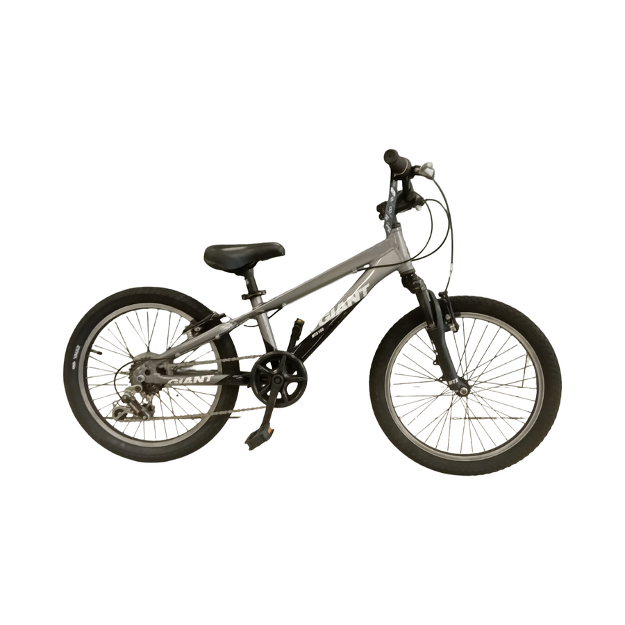 Giant MTX 150 Bike - 20"  - Kids, Colour: Black, Grey