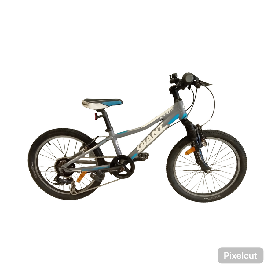 Giant XTC jr Bike - 20" - Kids, Colour: Blue, Grey