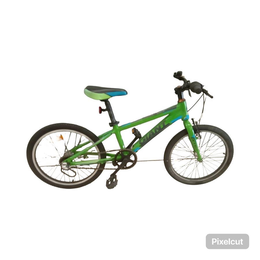 Giant XTC jr Bike - 20"  - Kids, Colour: Green