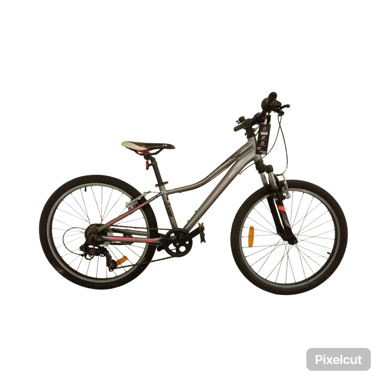 Liv Enchant Bike - 24"  - Kids, Colour: Grey, Pink