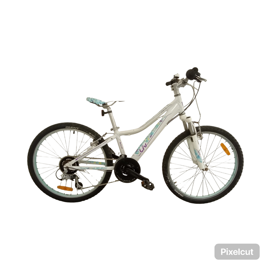 Liv Areva Bike - 24"  - Kids, Colour: Blue, White, Purple