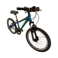 Thumbnail for Reid Scout Bike - 20