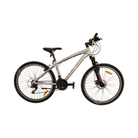 Thumbnail for Adult - 38cm Mountain Bike with Stand, Pink-Silver