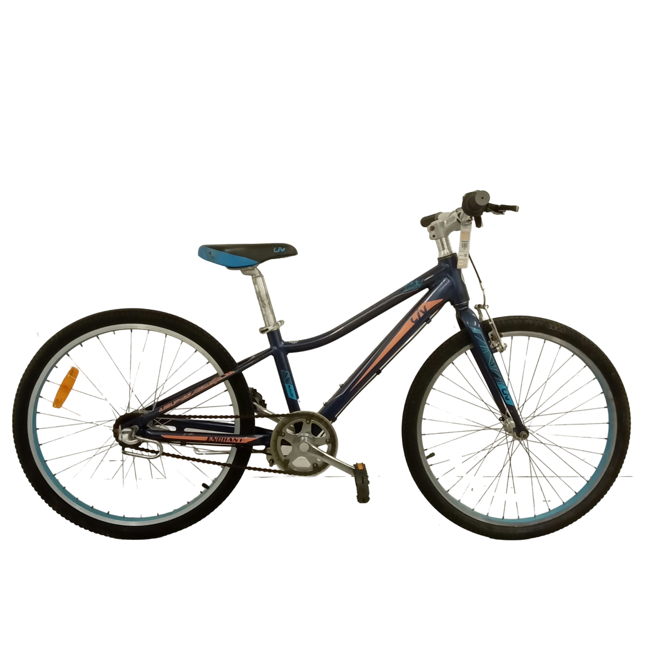 1738 - 24" Blue, Kids, Bike